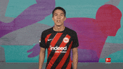 Eintracht Frankfurt Football GIF by Bundesliga