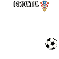 World Cup Football Sticker by Pudgy Penguins