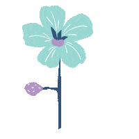 throughchristinaseyes beauty nature flower christina Sticker