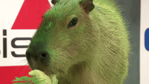[Image: giphy.gif]
