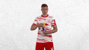 Red Bull Football GIF by RB Leipzig