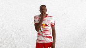 Football Think GIF by RB Leipzig