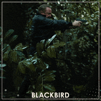 Action Movie Spy GIF by Wildcard Distribution