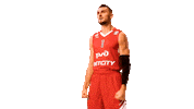 Sam Dekker Basketball Sticker by VTB League