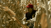 nbc 90th special GIF by NBC