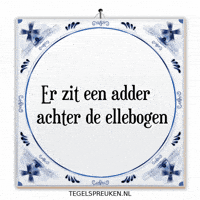 Humor Nl GIF by Tegelspreuken.nl