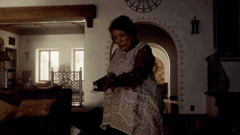 fox GIF by The Last Man On Earth