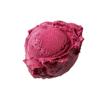 Icecream Luicellas Sticker by Luicella's Ice Cream
