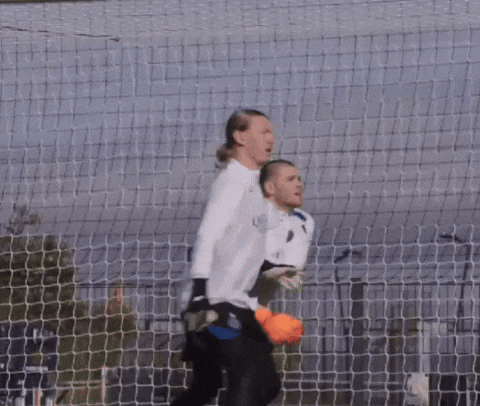 Paris Saint-Germain Psg GIF