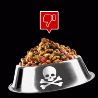 JustFoodForDogs sad angry mad help GIF