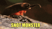 sick snot GIF by chuber channel