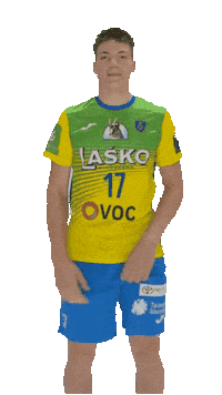 Handball Move Sticker by RK CELJE
