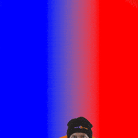 Wild-Panda schnee putzen polieren gebäudereinigung GIF