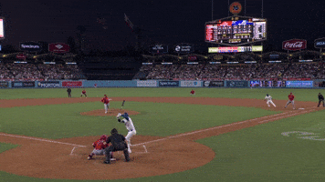 Major League Baseball Sport GIF by MLB