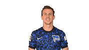 Home Swipe Up Sticker by Hertha BSC