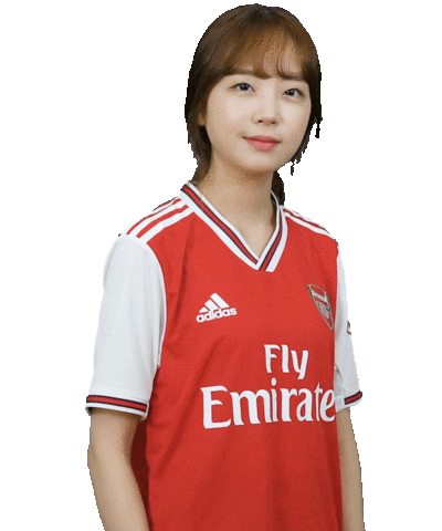Soccer Arsenal Sticker by Shoot for Love