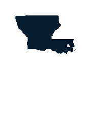Democrat Congress Sticker by Martin Lemelle