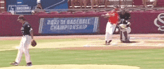 World Series Baseball GIF by NCAA Championships