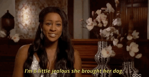 episode 1 abc GIF by The Bachelor