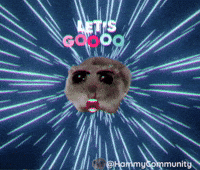 Excited Lets Go GIF by Sad Hamster