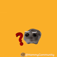 Question Mark What GIF by Sad Hamster