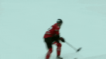Save Cardiff Devils GIF by Champions Hockey League