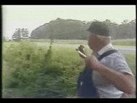 weed GIF
