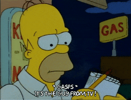 Season 1 GIF by The Simpsons