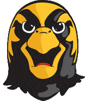 university falcons Sticker by PfeifferAdmissions