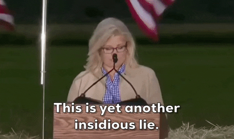 Liz Cheney Wyoming GIF by GIPHY News