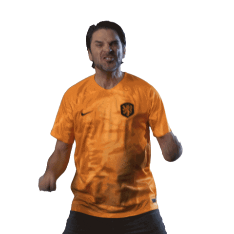 HuisVanOranje giphyupload voetbal nederland holland Sticker