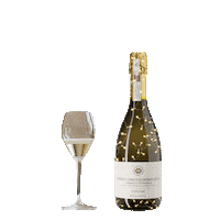 ProseccoCV prosecco winelovers proseccosuperiore proseccocv Sticker