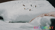 chris martin art GIF by Parlophone Records