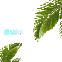 15Th Anniversary Sticker by SweetHeat Miami
