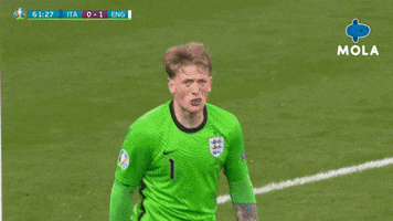 Angry Euro 2020 GIF by MolaTV