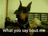 JamileDesigns  GIF