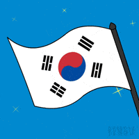 South Korea Penguin GIF by Pudgy Penguins