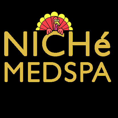 nichemedspa giphygifmaker giphygifmakermobile medspa niche GIF