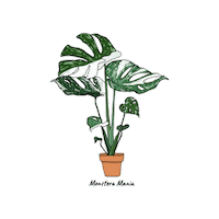 Plant Sticker by Monstera Mania