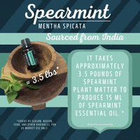 Diffuse Essential Oils GIF by Jennifer Accomando