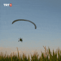 Happy See You GIF by TRT