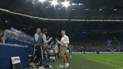 Happy Football GIF by FC Schalke 04