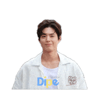 Korea Dicon Sticker by koreadispatch