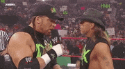 triple h wrestling GIF by WWE