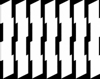 Roadbikes GIF by mountainbikerat