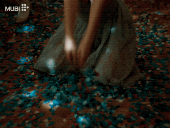 Jennifer Lawrence Cinema GIF by MUBI