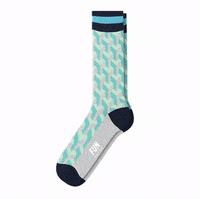 GIF by @sockfootageco