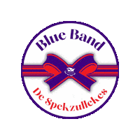 Carnaval Helmond Sticker by CV De Spekzullekes