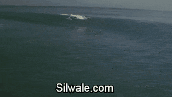 GIF by Silwale