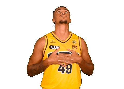 Basketball Basket Sticker by JSABMB